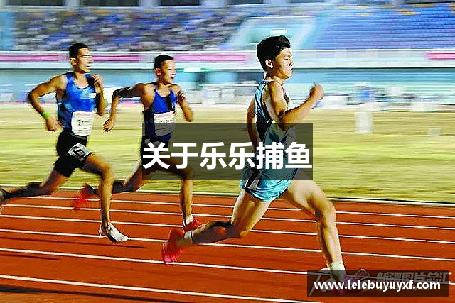 关于乐乐捕鱼